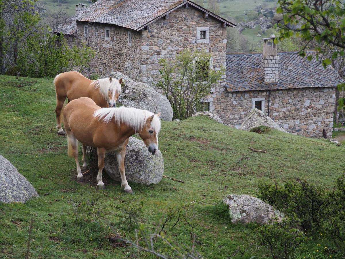 Apartamento Ferme de Béna Enveitg Exterior foto